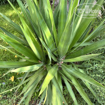 фото из отзыва ID 2700946