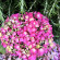 фото из отзыва ID 2700946