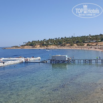 фото из отзыва ID 2701122