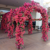 фото из отзыва ID 2701214
