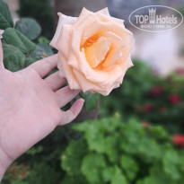 фото из отзыва ID 2700681