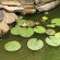фото из отзыва ID 2701287