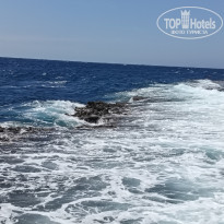 фото из отзыва ID 2701555