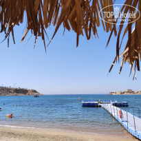 фото из отзыва ID 2701683