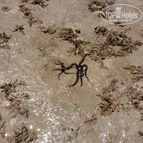 фото из отзыва ID 2701710