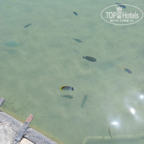 фото из отзыва ID 2701710