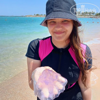 фото из отзыва ID 2701710