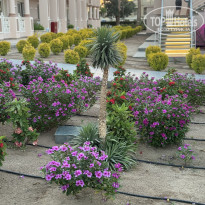 фото из отзыва ID 2701940