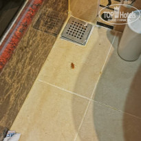 фото из отзыва ID 2702001