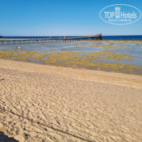 фото из отзыва ID 2702051