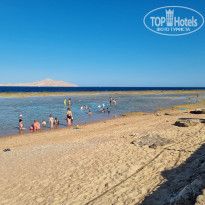 фото из отзыва ID 2702051