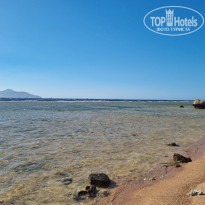 фото из отзыва ID 2702051