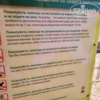 фото из отзыва ID 2702051