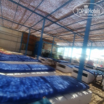 фото из отзыва ID 2702072