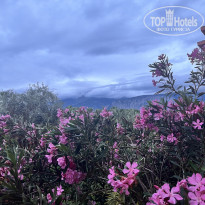 фото из отзыва ID 2702091
