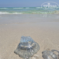 фото из отзыва ID 2702104