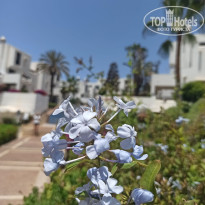 фото из отзыва ID 2702308