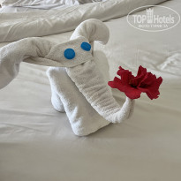 фото из отзыва ID 2702457