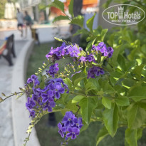 фото из отзыва ID 2702568