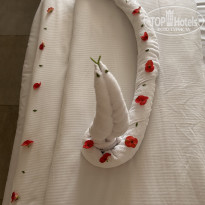 фото из отзыва ID 2702643