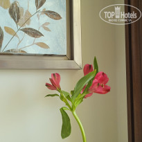 фото из отзыва ID 2702687