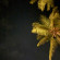 фото из отзыва ID 2702706