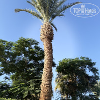 фото из отзыва ID 2702848