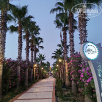 фото из отзыва ID 2702851