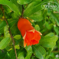 фото из отзыва ID 2702714