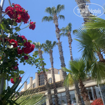 фото из отзыва ID 2703169