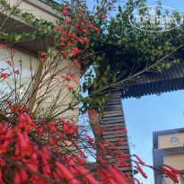 фото из отзыва ID 2703169