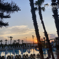 фото из отзыва ID 2703169