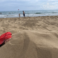 фото из отзыва ID 2703169