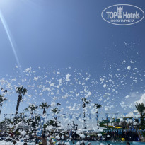 фото из отзыва ID 2703169