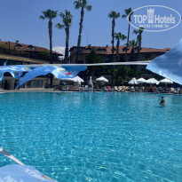 фото из отзыва ID 2703169