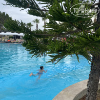 фото из отзыва ID 2703169