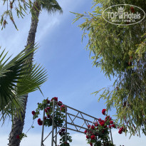 фото из отзыва ID 2703169