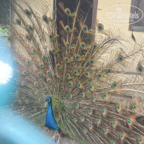 фото из отзыва ID 2703169