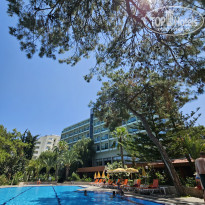 фото из отзыва ID 2703209