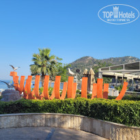 фото из отзыва ID 2703283