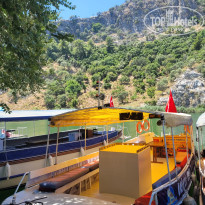 фото из отзыва ID 2703283