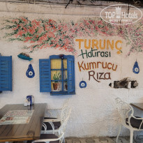 фото из отзыва ID 2703283