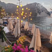 фото из отзыва ID 2703283