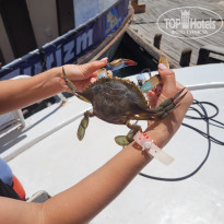 фото из отзыва ID 2703283