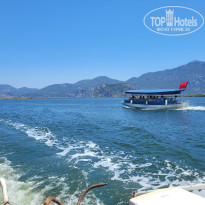 фото из отзыва ID 2703283