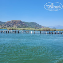 фото из отзыва ID 2703283