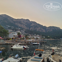 фото из отзыва ID 2703283