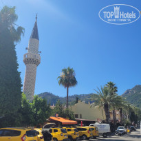 фото из отзыва ID 2703283