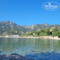 фото из отзыва ID 2703283