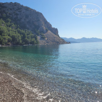 фото из отзыва ID 2703283